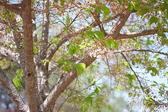 DSCF1145.JPG
