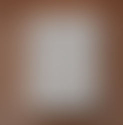 Ռիալտոյի կամուրջից մինչև հայրենիք