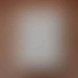 Ռիալտոյի կամուրջից մինչև հայրենիք