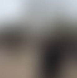 Հիշողության ձայնը «Փոքրիկ Հրեշտակներ» շաբաթօրյա դպրոցում