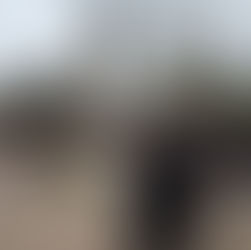 Հիշողության ձայնը «Փոքրիկ Հրեշտակներ» շաբաթօրյա դպրոցում