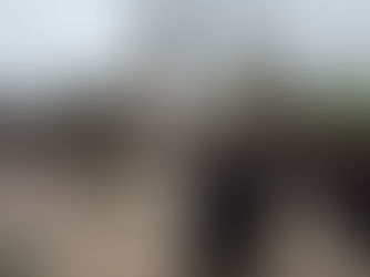 Հիշողության ձայնը «Փոքրիկ Հրեշտակներ» շաբաթօրյա դպրոցում