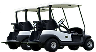 Golf Cart rentals by the day, week or month for personal use and fleet rentals for golf courses and corporate functions