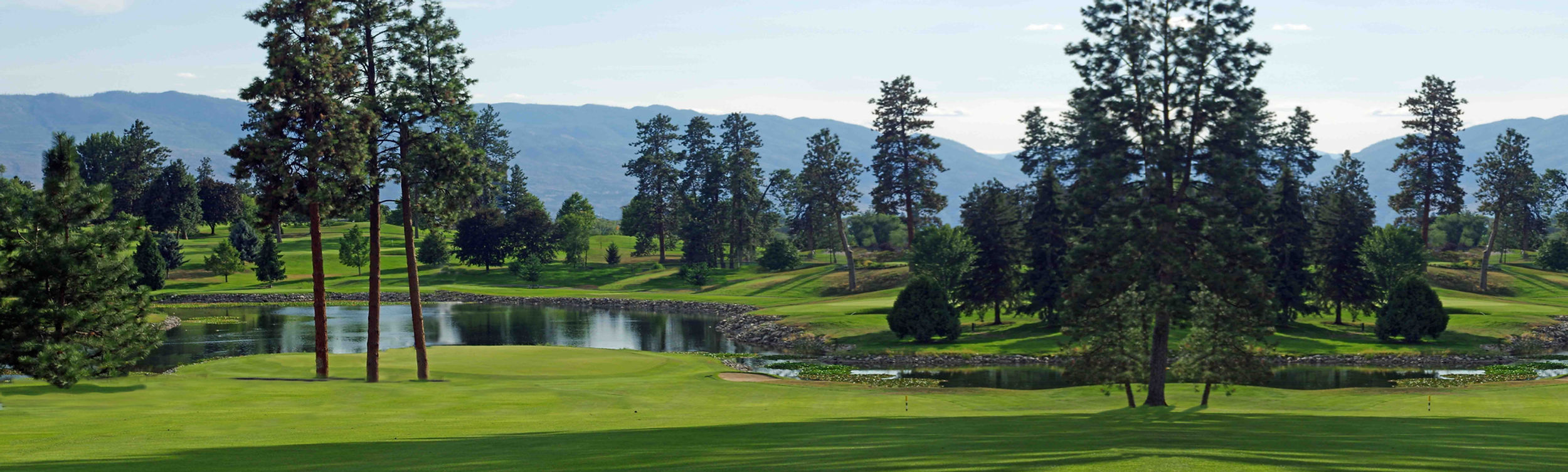 Golf Course Bkgd Image.jpg