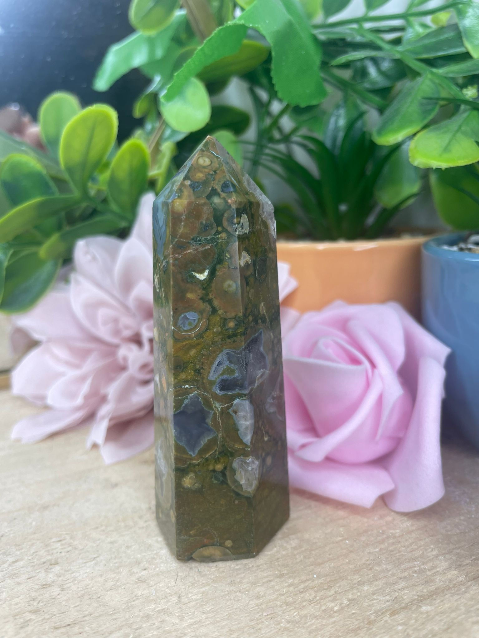 Rainforest Jasper Point