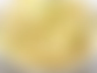 Blog #525: The "Extra Mashed Potatoes" Saying and Why It's Important When it Comes to Setting Healthy Employment Goals for Neurodivergent Job Seekers?