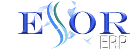 Essor ERP Enterprise Management System By BAGILE.png