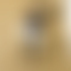 Recap: Eprix de Hyderabad