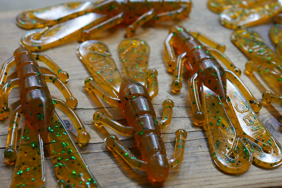 Thumbnail: Little Barren Crawdad - Amber Green
