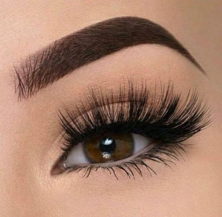 lashes