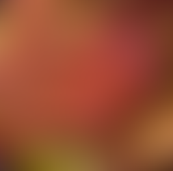 קישואים ממולאים באורז ועשבי תיבול