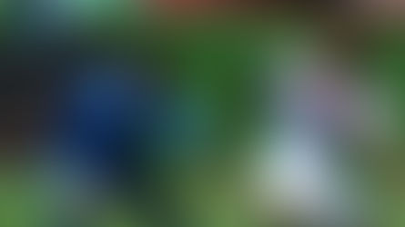 Preolímpica jugará el torneo Esperanzas de Toulon