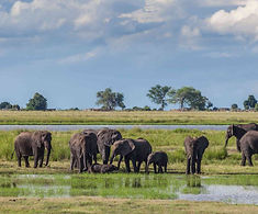 00-Best_Safari_Country-BW-header1200px.jpg