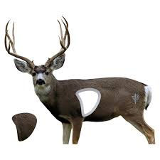 Thumbnail: Deadnuts Target