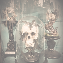 skulls and butterflies