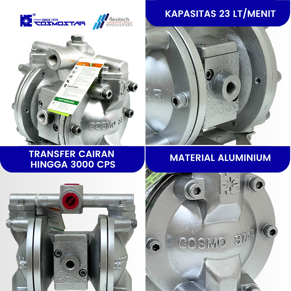 Thumbnail: COSMOSTAR D0902 3/8” Air-Operated Double Diaphragm Pump