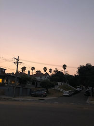 IMG_6494.jpeg