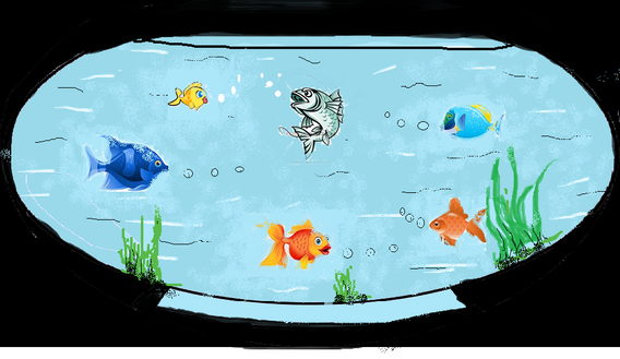 Christobelle fish tank.png