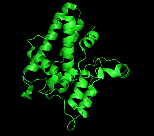 Clic1 structural rearrangement