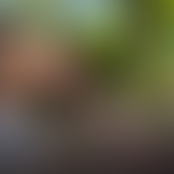 Поїхала в тур назустрічмайбутньому чоловіку