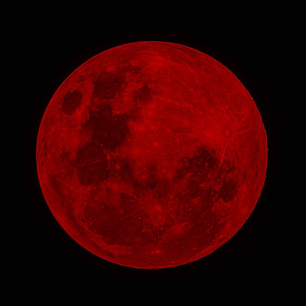 Image by Michael