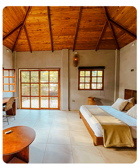 Habitaciones Palomino