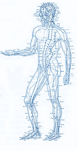 Acupuncture energy map