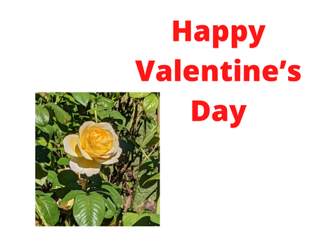 Happy Valentine’s  Day . . . . . .