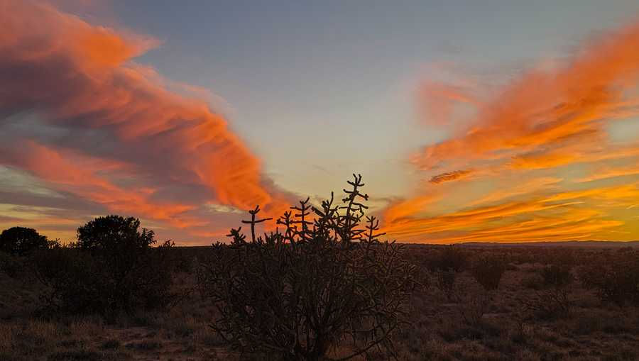 sunset.jpg