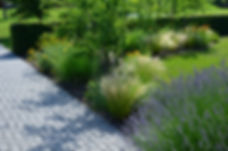 iStock-1408178852.jpg