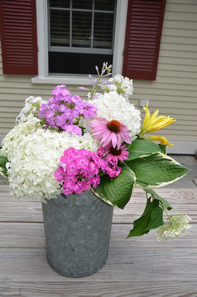 From my garden