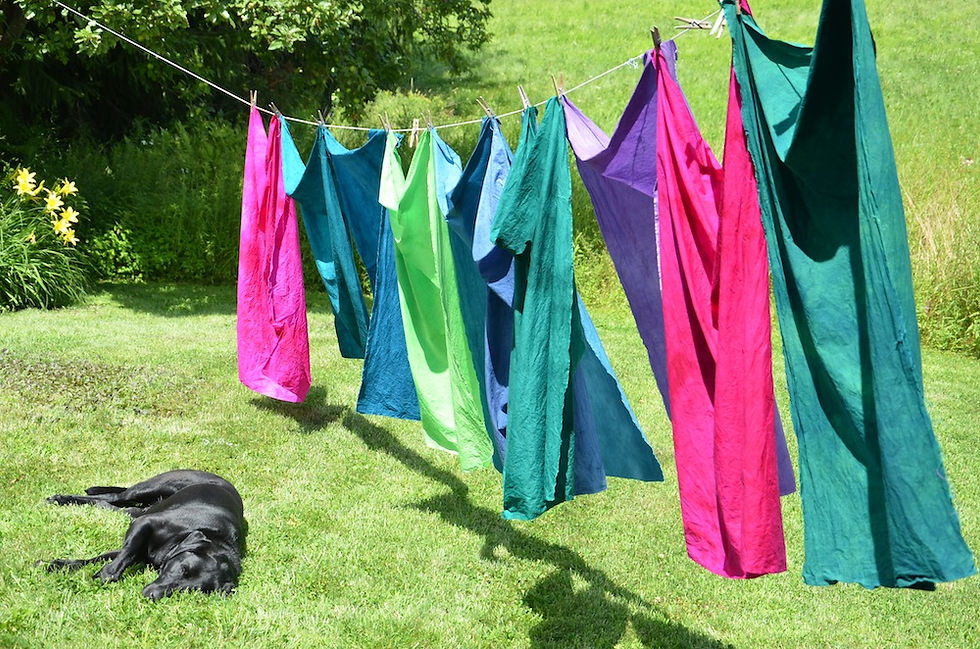 Wacky over dyeing of the "ickies"