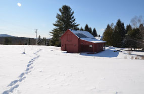 A Winter’s Walk