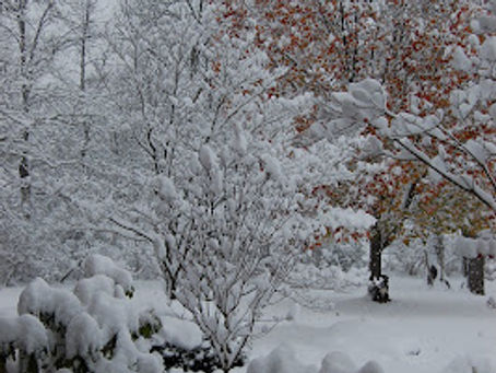 Snow Day: Giveaway continued