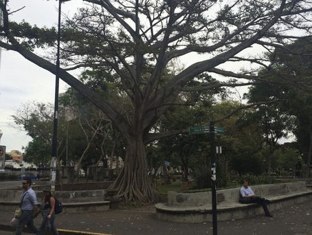 Winter Wanderlust #1: Costa Rica