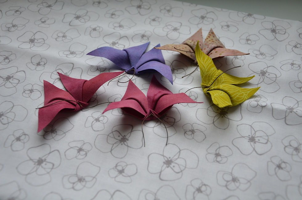 Lynne's butterflies