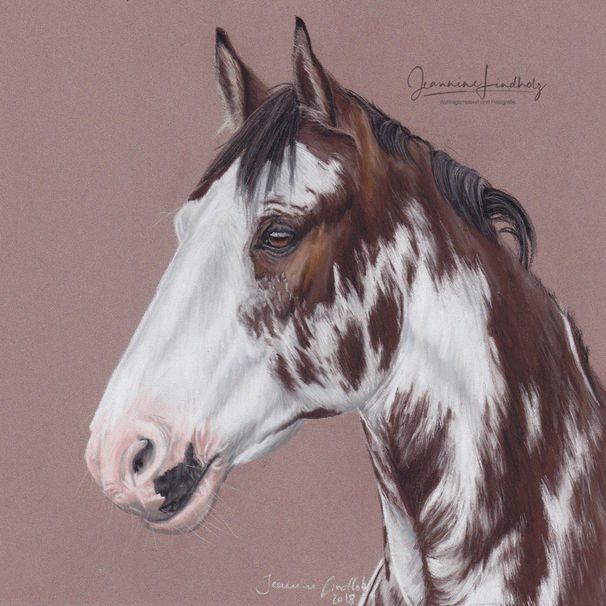 Jeannine Lindholz Pastell Pinto