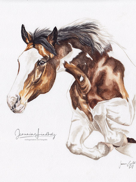 Jeannine Lindholz Aquarell Figa