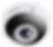 Fisheye