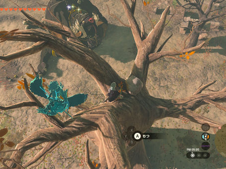 【ネタバレあり】ティアキン162時間目 エウンポ高地の洞窟、ミネタカカの祠、ドイブラン遺跡の地底の地形