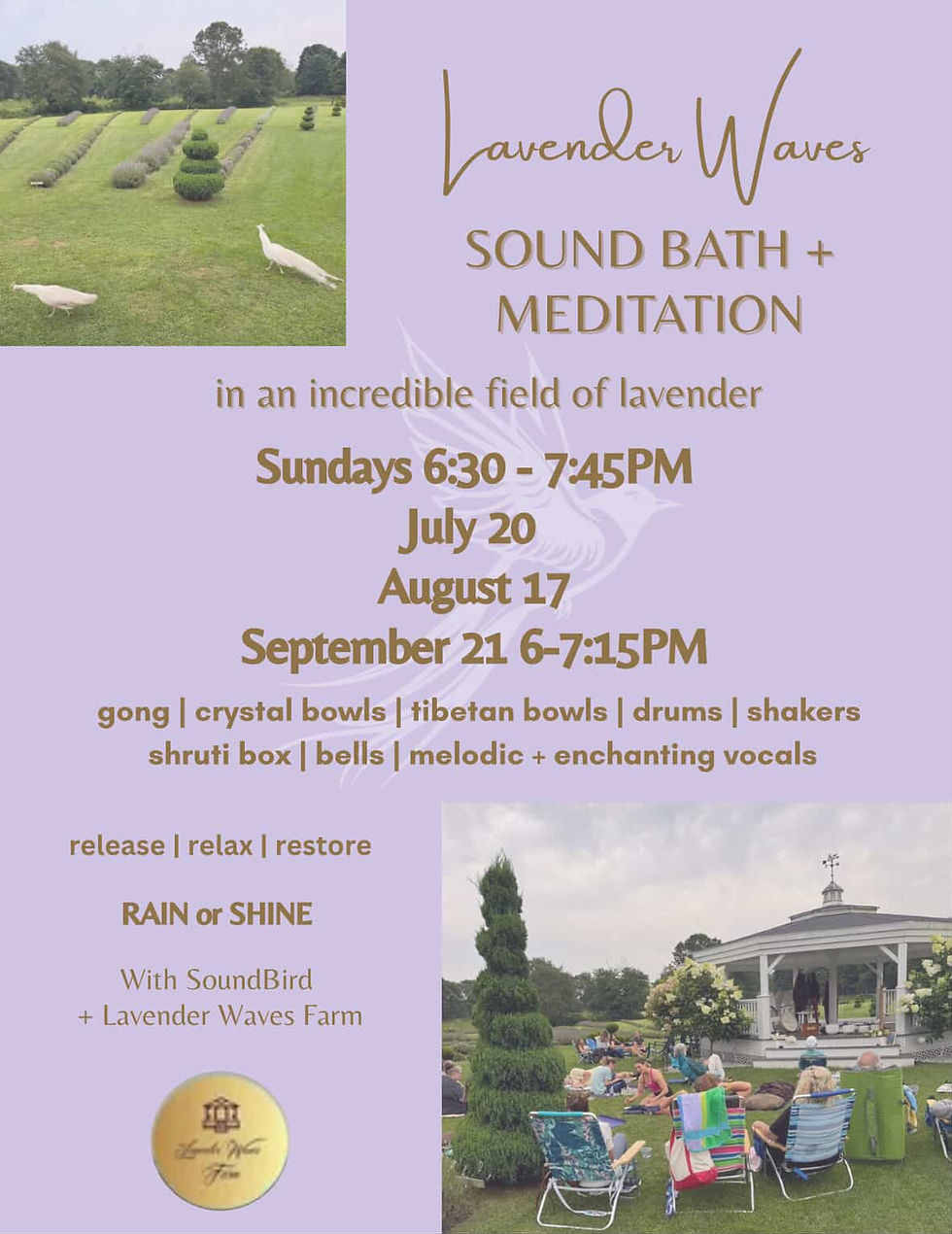 Sound Bath & Meditation
