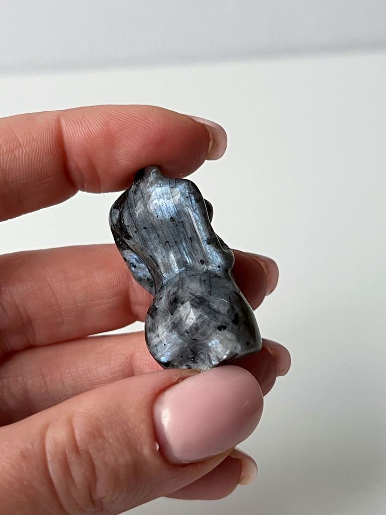 Thumbnail: Labradorite mini body pregnant