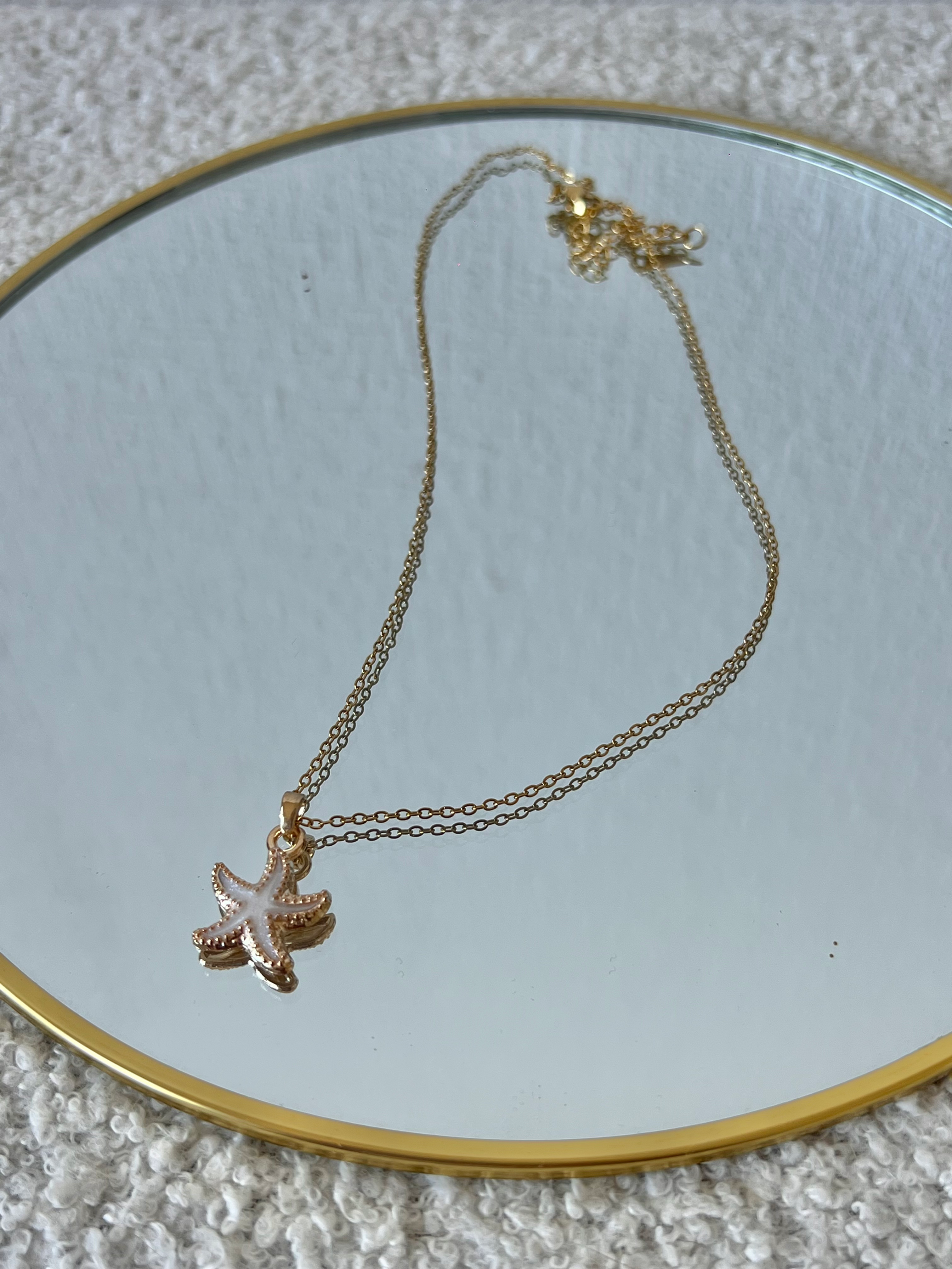 Stainless steel ketting zeester parelmoer