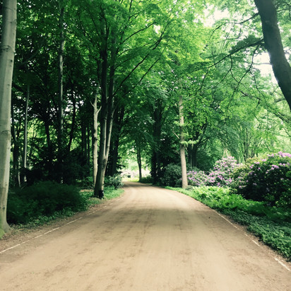 parken en tuinen in en rond Berlijn, Groen Berlijn,