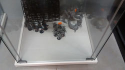 IMG_20150814_222814841