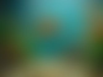 Essential Aquarium Care Tips for New Fish Owners