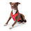 Thumbnail: Travel Harness - Red