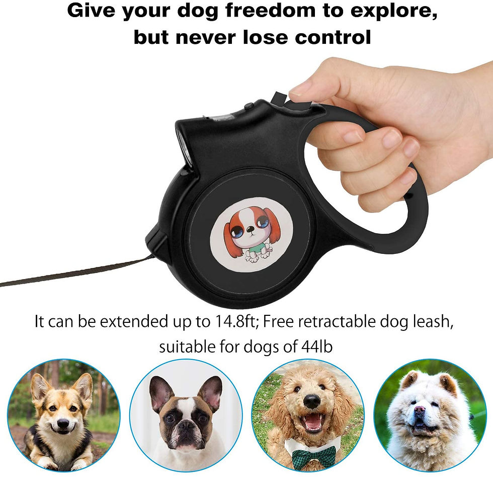 Thumbnail: LED Lighted Retractable Nylon Dog Leash - Black