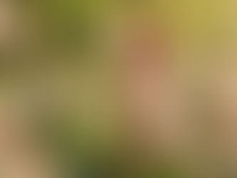 Compliments Change Lives 