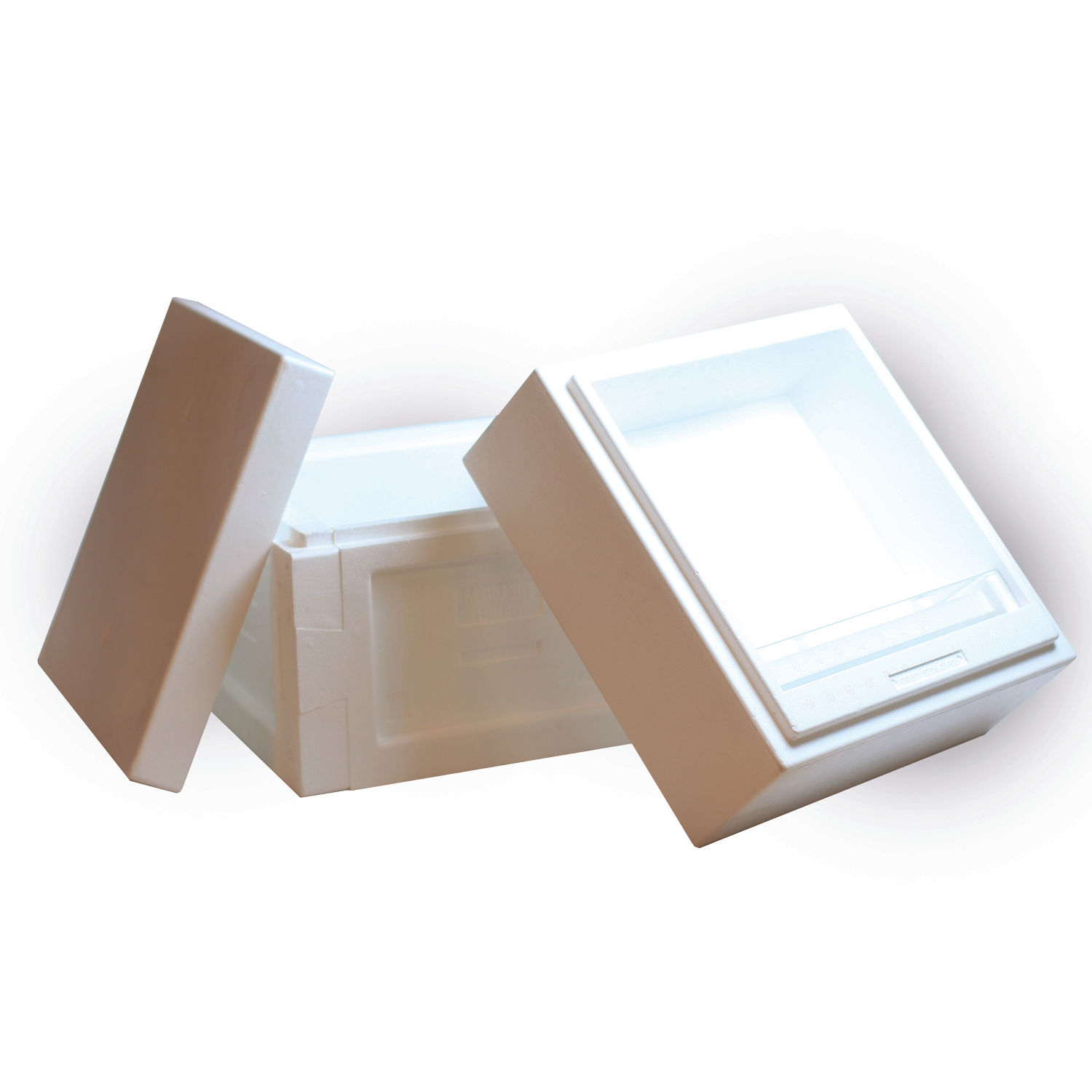 Ruchette Mini-Plus en sagex - 6 cadrons